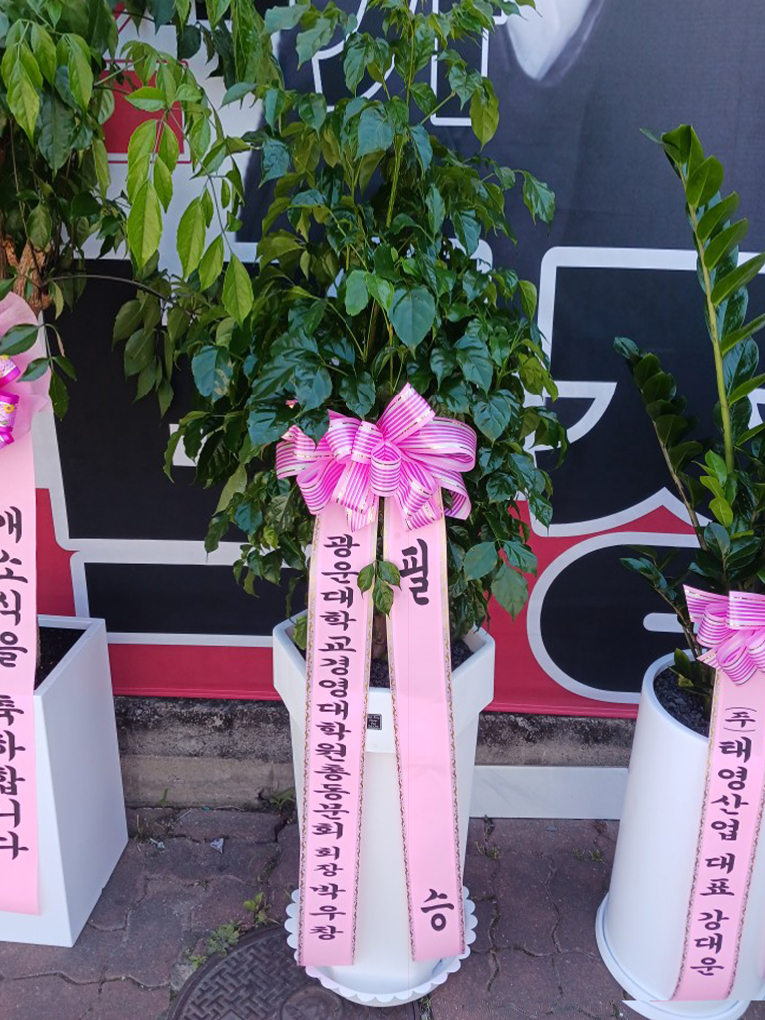 업로드 이미지