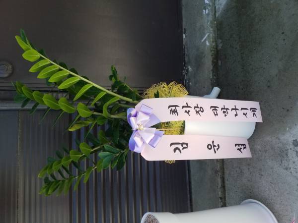 업로드 이미지