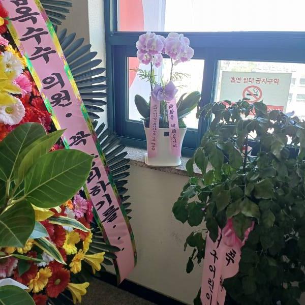 업로드 이미지