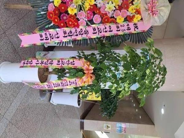 업로드 이미지