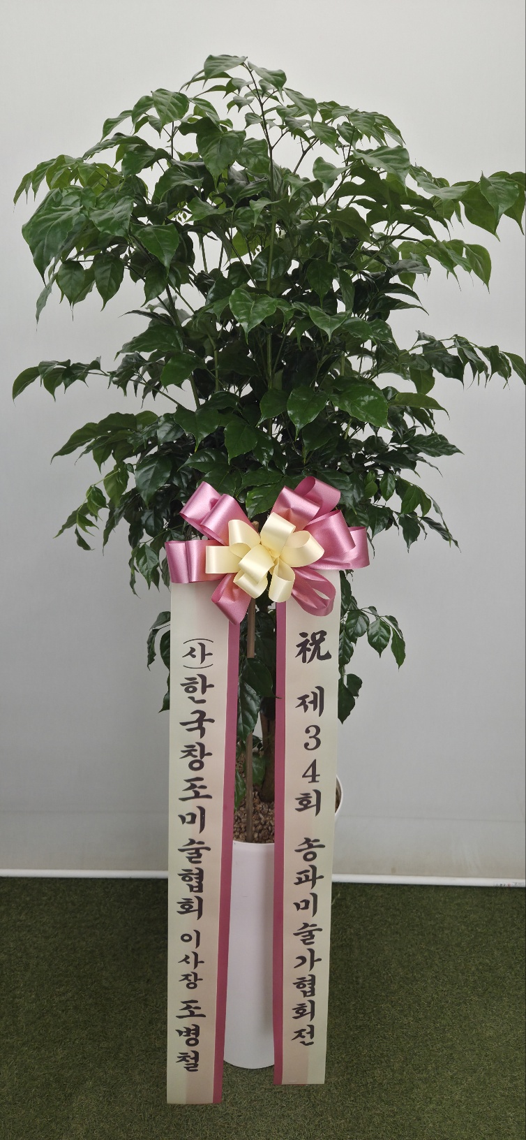 업로드 이미지