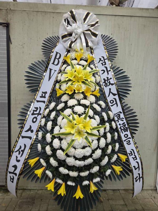 업로드 이미지