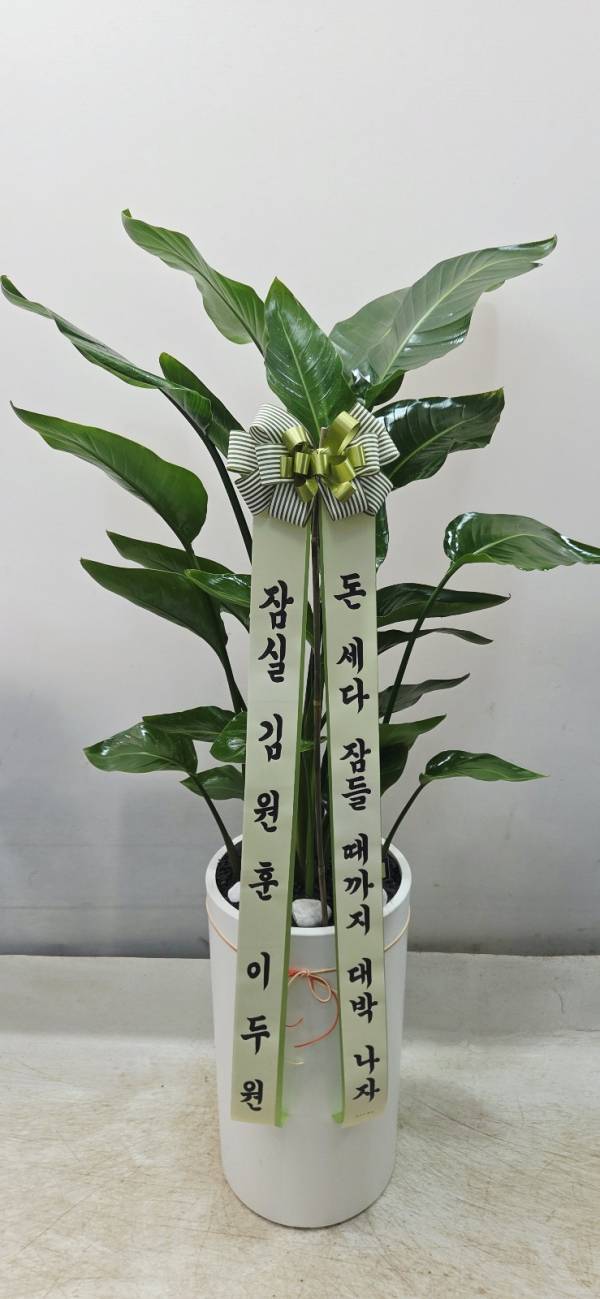업로드 이미지