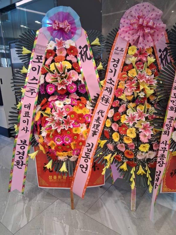 업로드 이미지