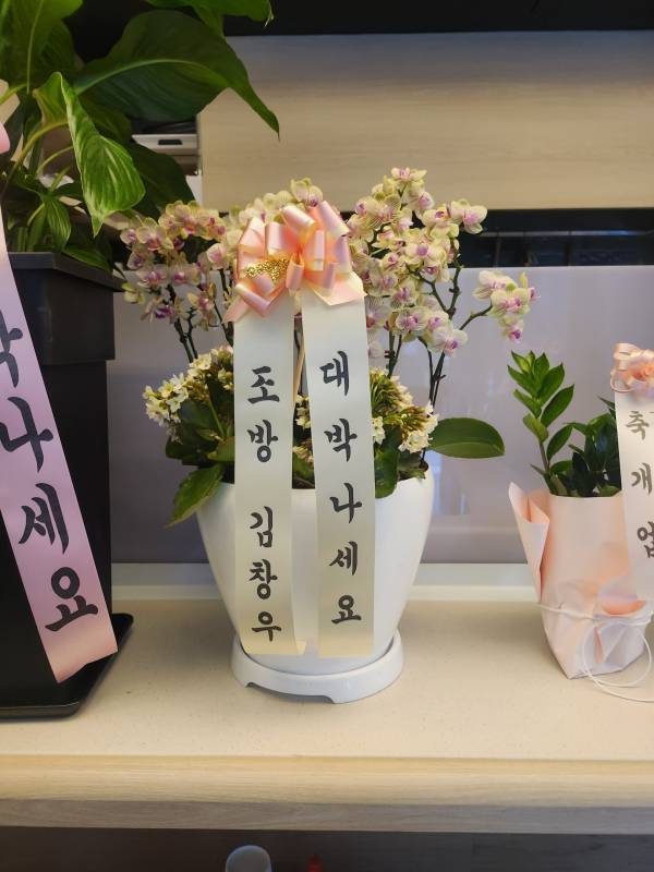 업로드 이미지