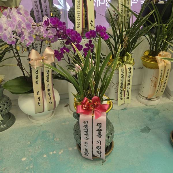 업로드 이미지