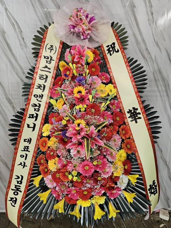 업로드 이미지