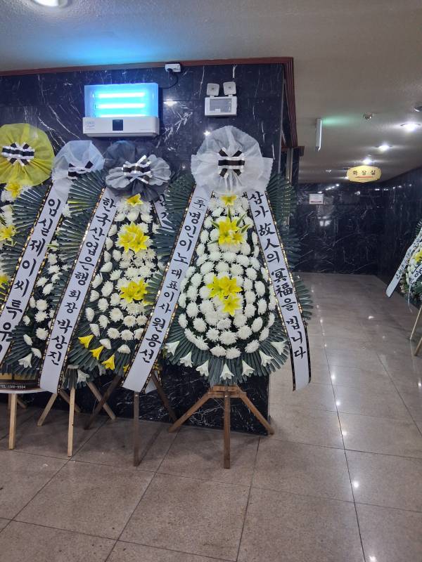 업로드 이미지