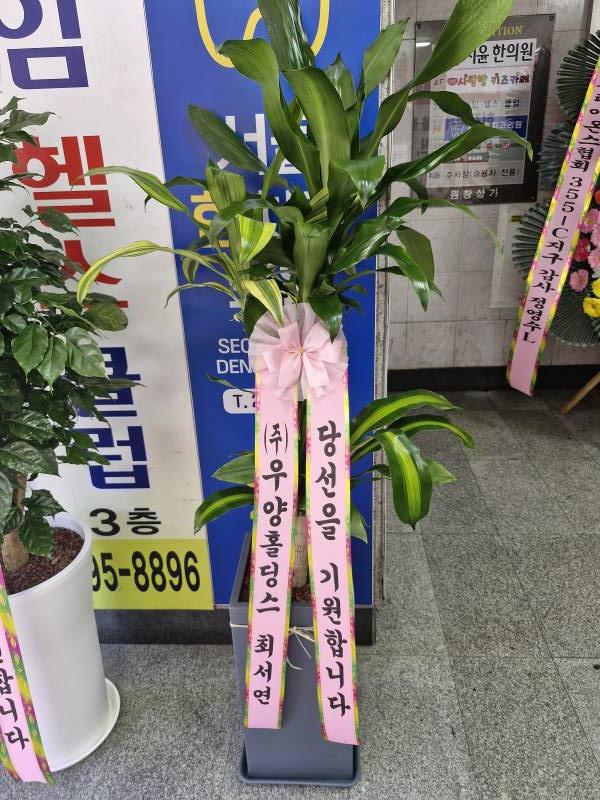 업로드 이미지