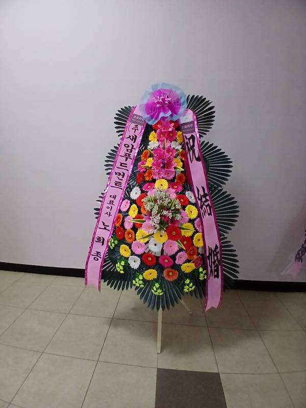업로드 이미지