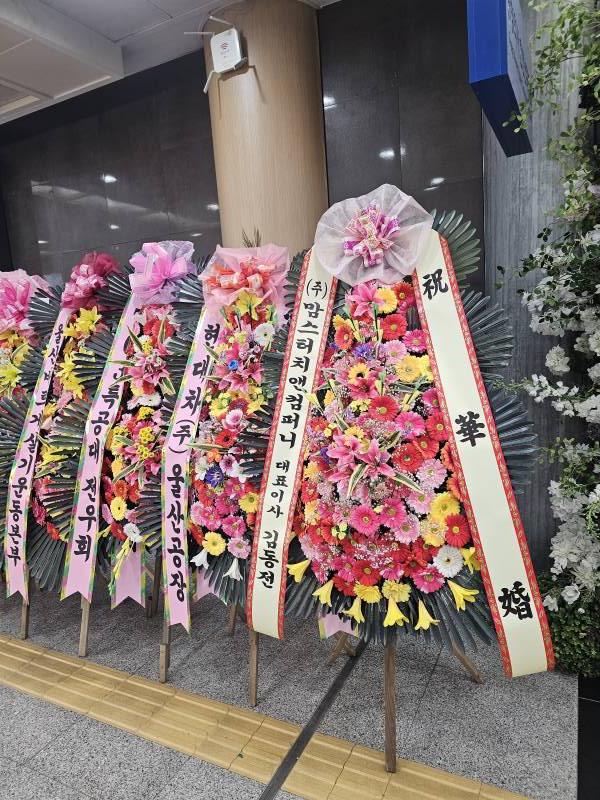 업로드 이미지