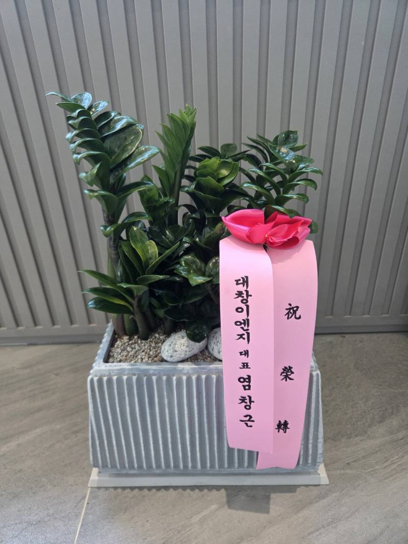 업로드 이미지