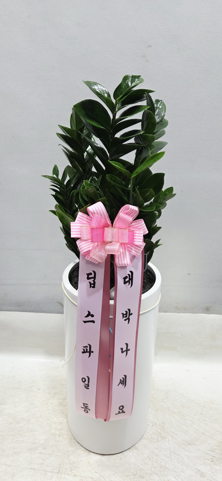 업로드 이미지