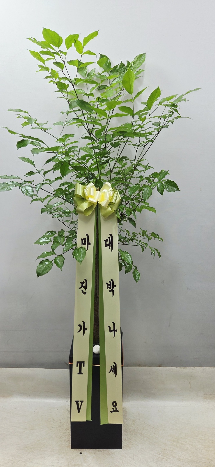 업로드 이미지