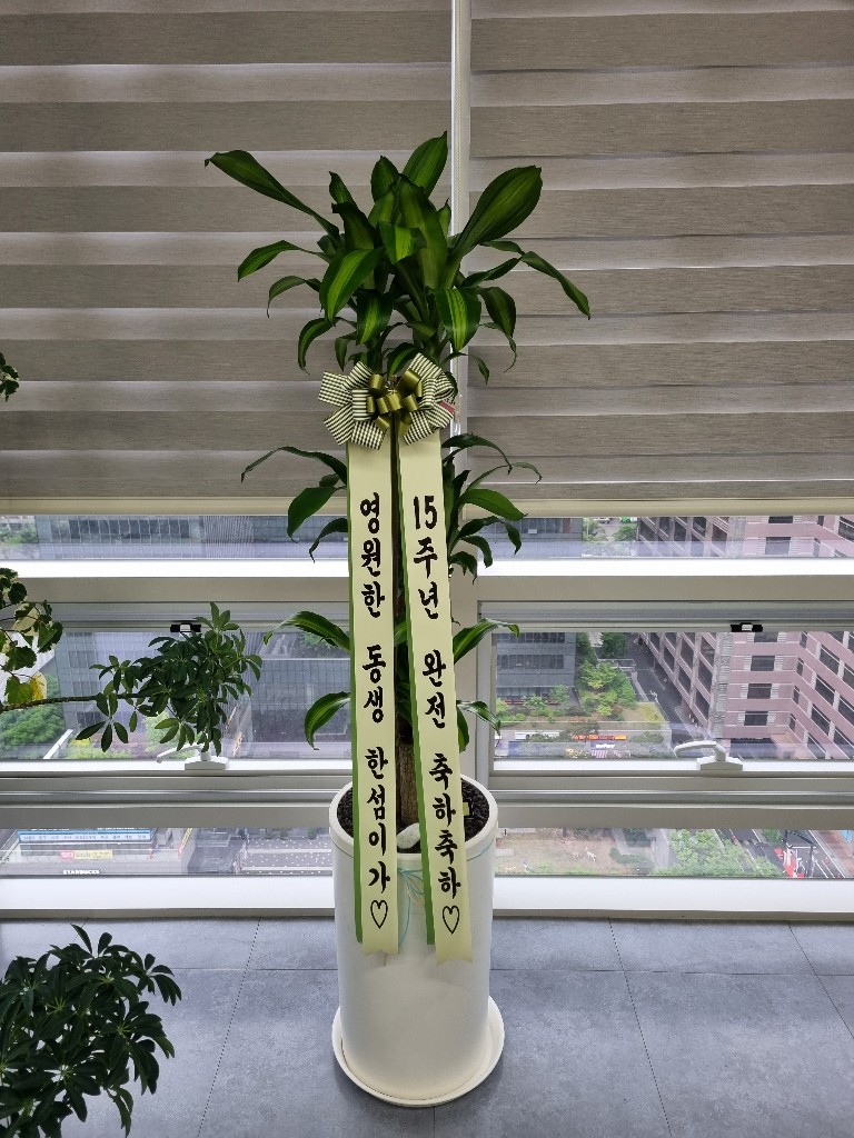 업로드 이미지