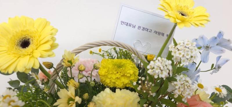 업로드 이미지