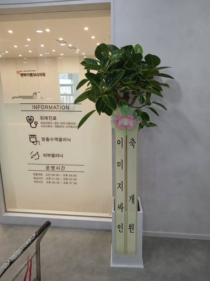 업로드 이미지