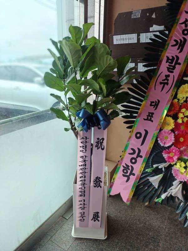 업로드 이미지