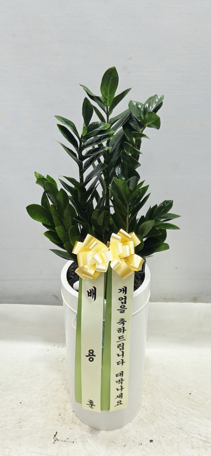 업로드 이미지