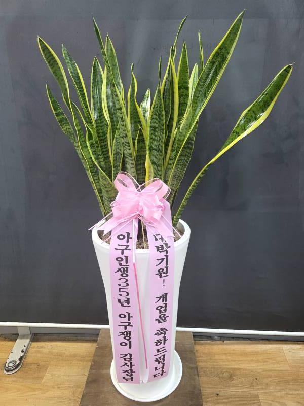 업로드 이미지