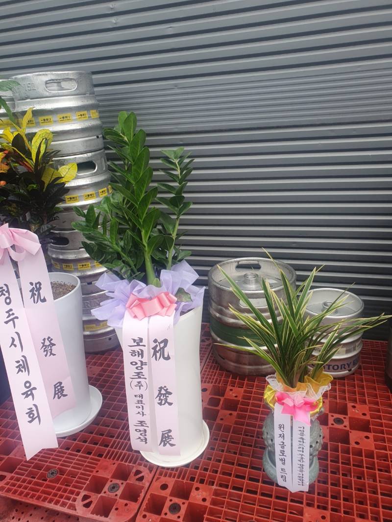 업로드 이미지