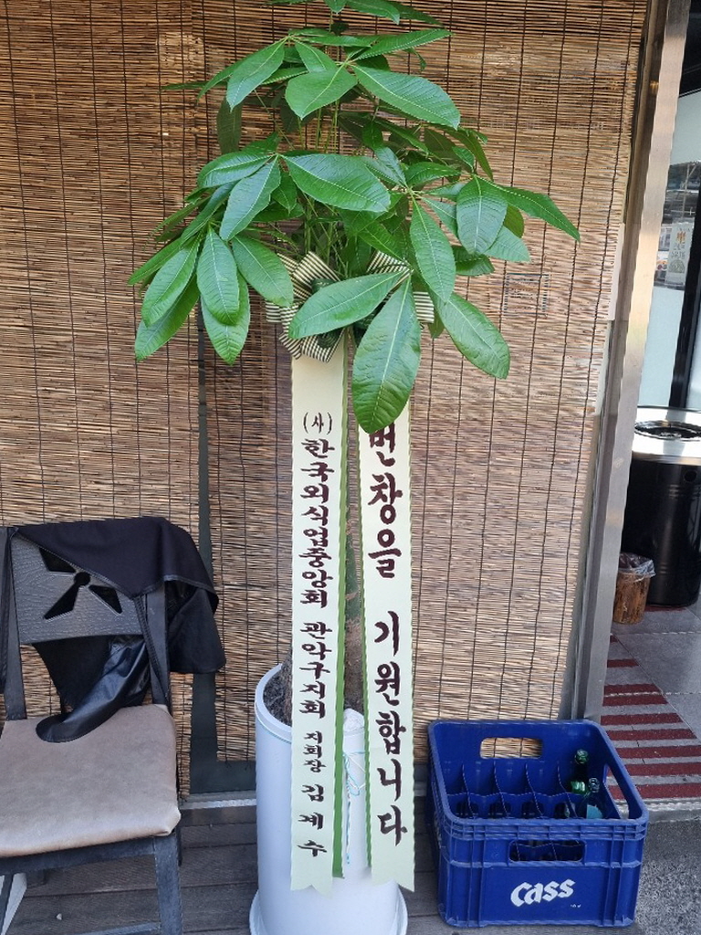 업로드 이미지