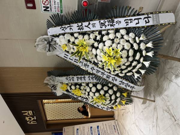 업로드 이미지