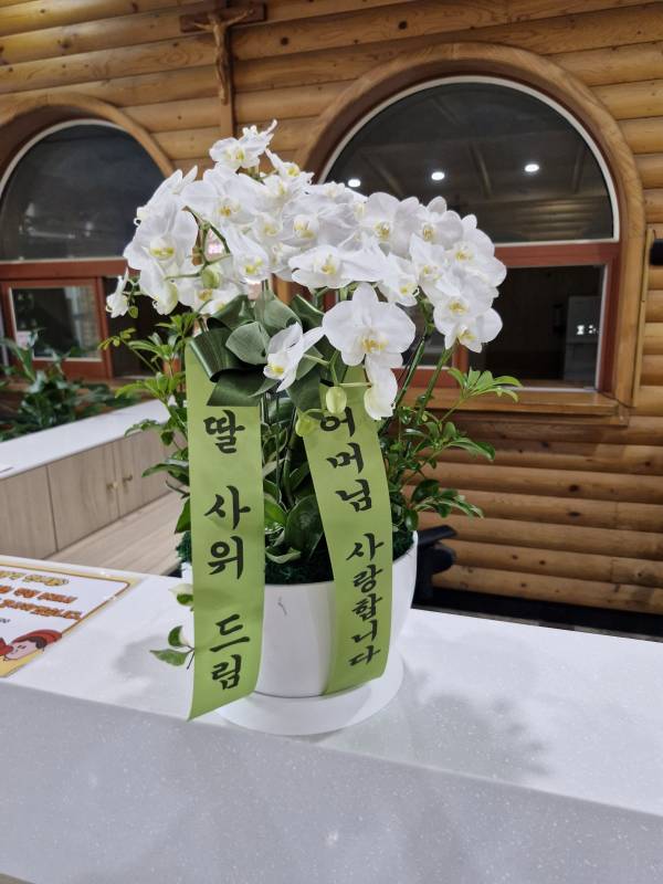 업로드 이미지