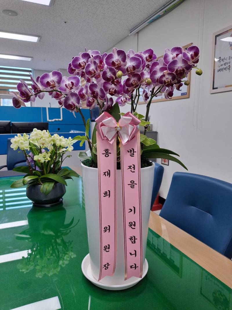 업로드 이미지