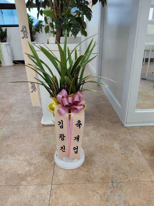 업로드 이미지