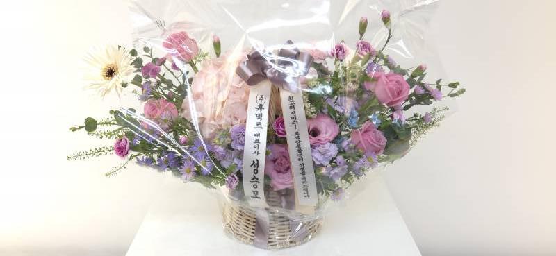 업로드 이미지