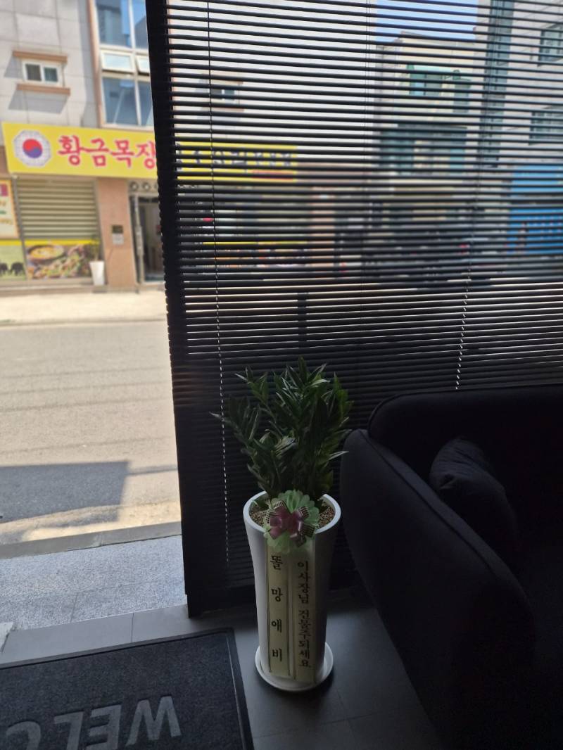 업로드 이미지