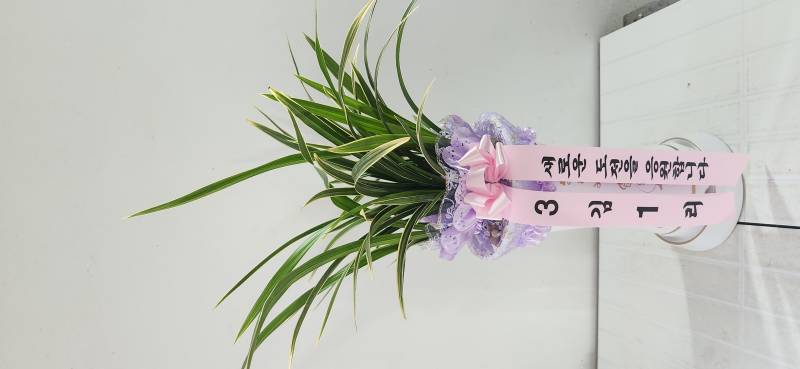 업로드 이미지