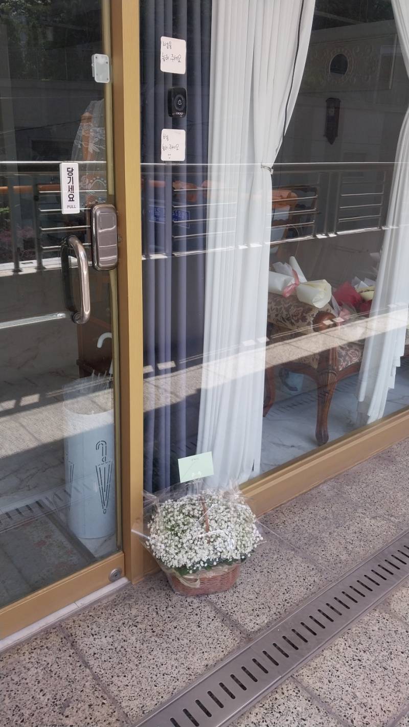 업로드 이미지