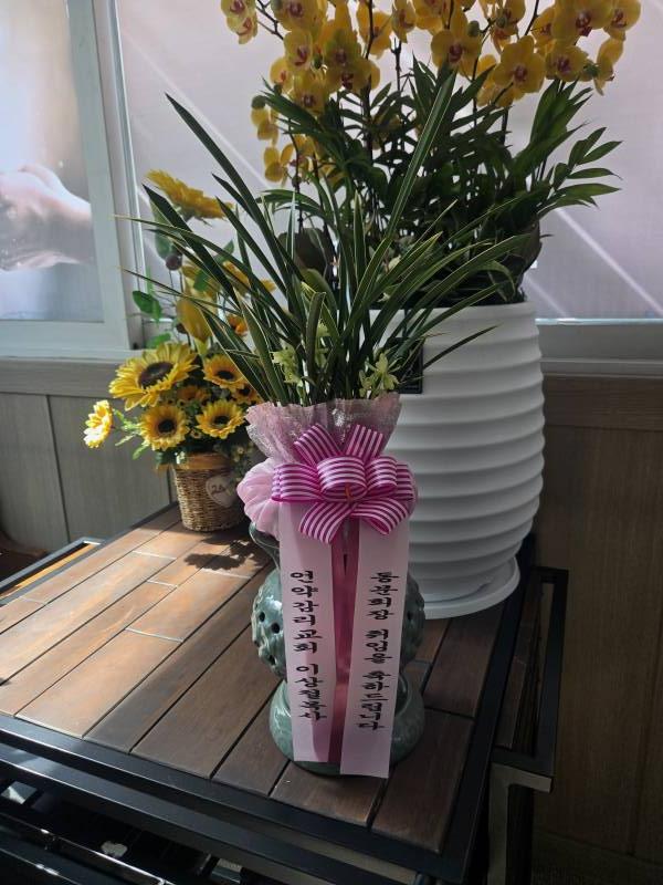 업로드 이미지