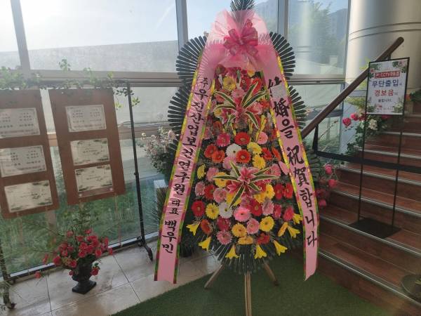 업로드 이미지