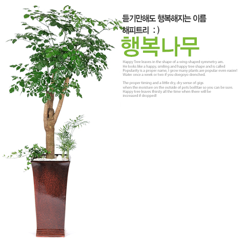 주상품이미지