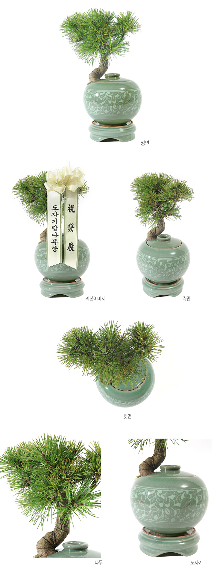 설명이미지
