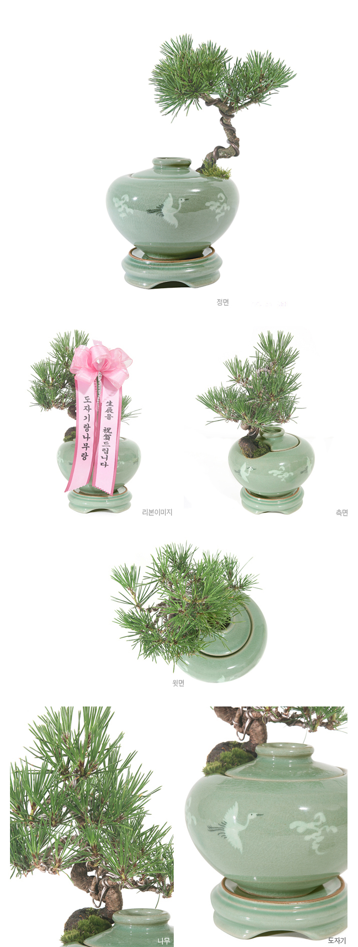 설명이미지