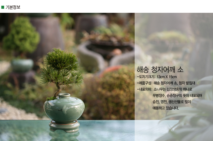 설명이미지