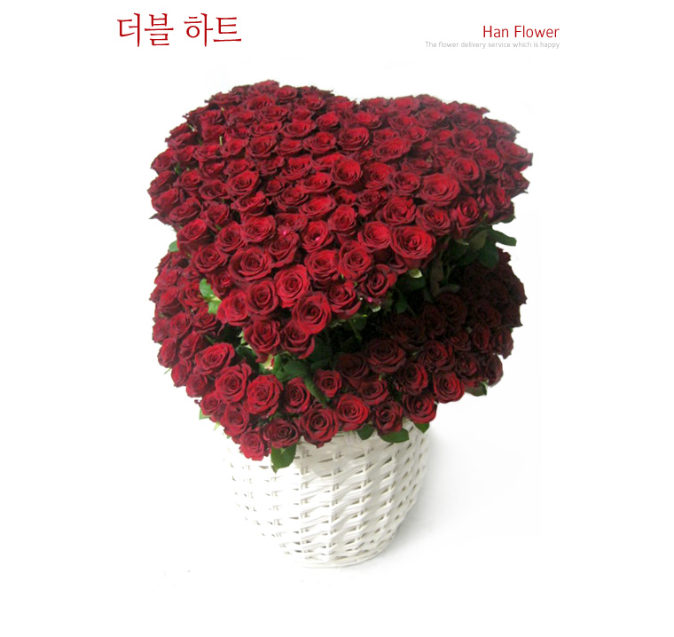 설명이미지