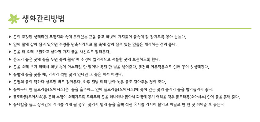 설명이미지