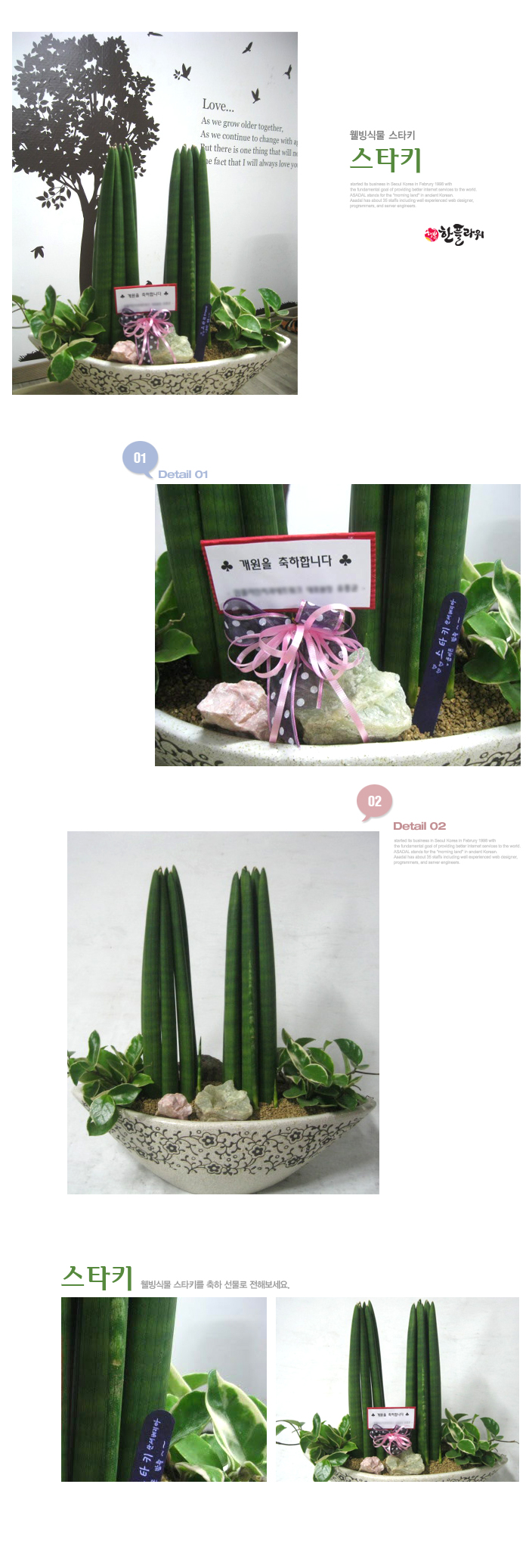 설명이미지