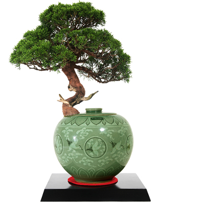 주상품이미지