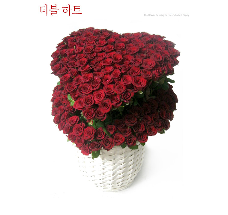 설명이미지