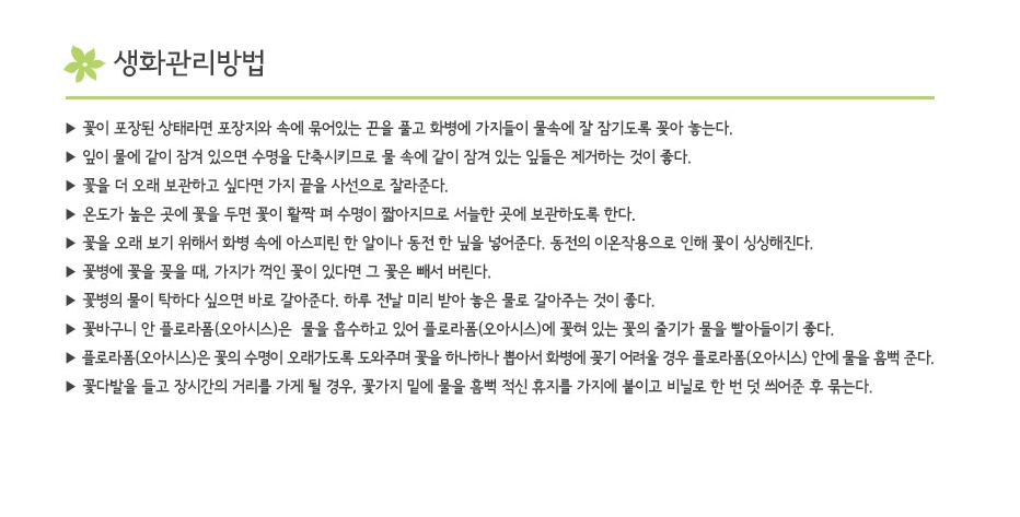 설명이미지