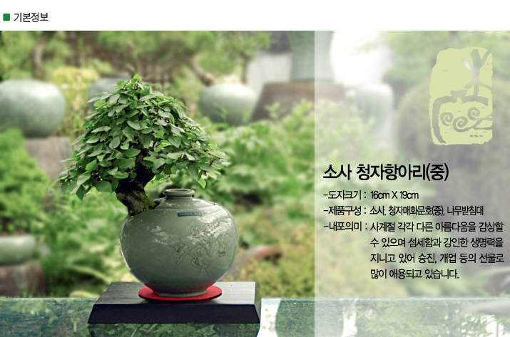 설명이미지