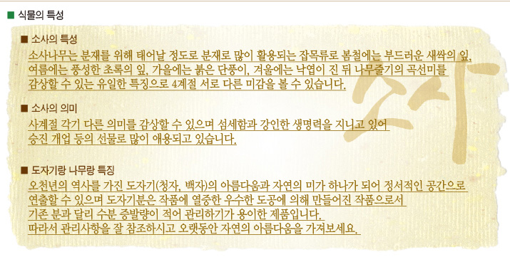 설명이미지