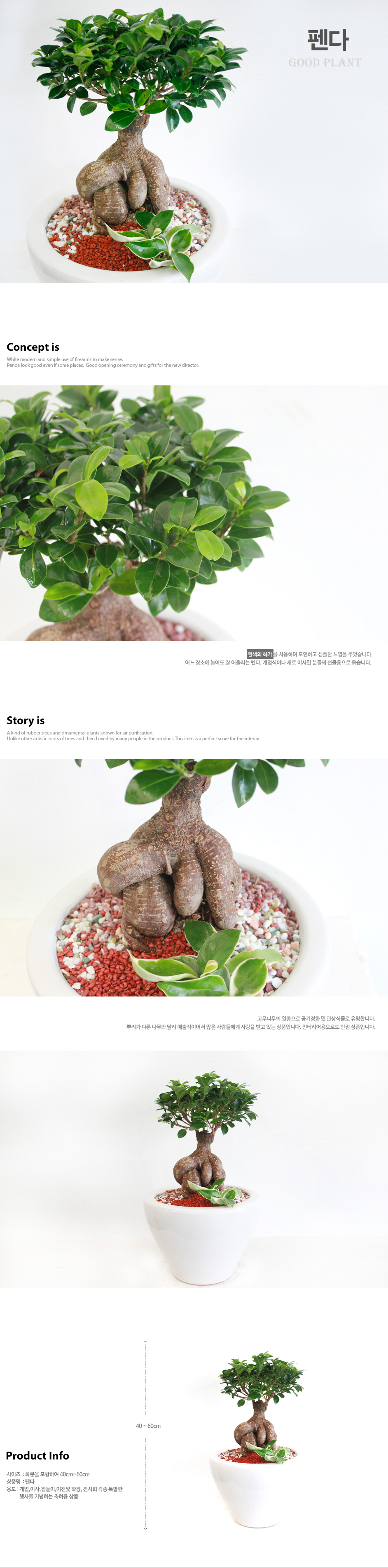 설명이미지
