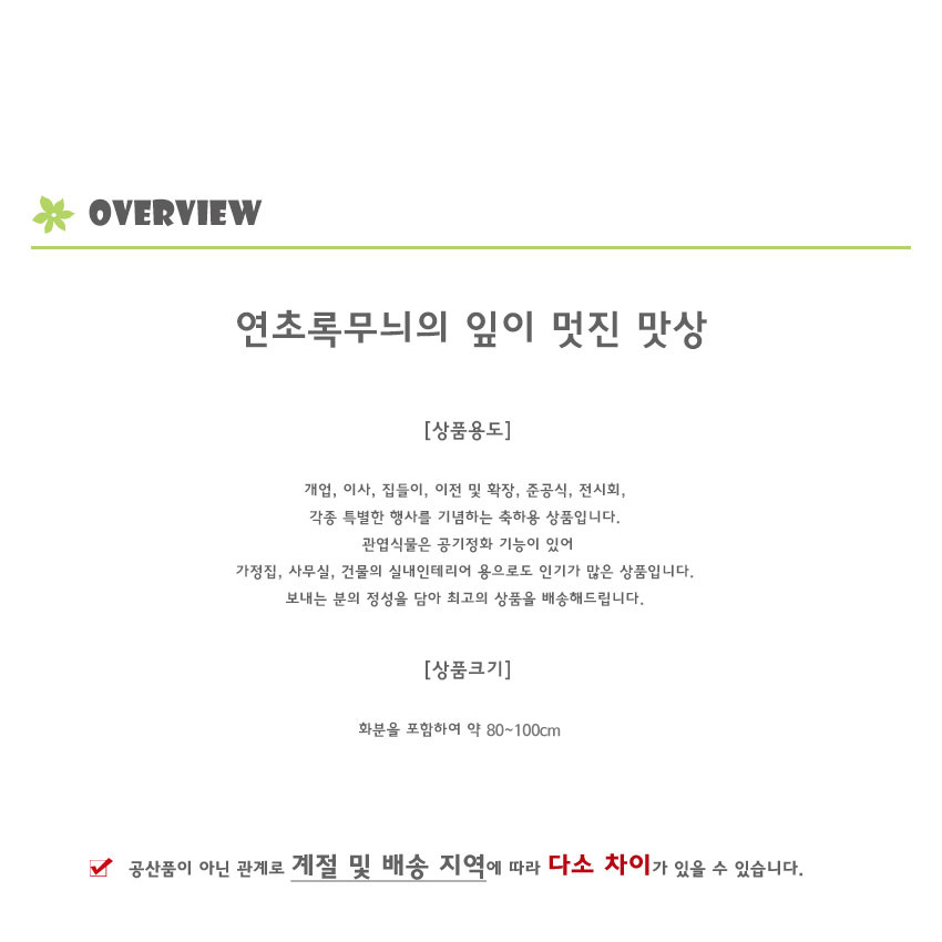설명이미지